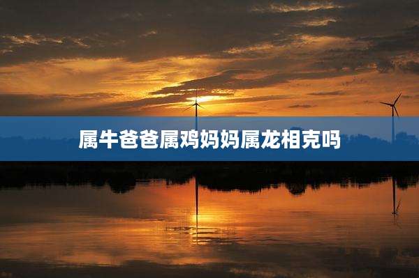属牛爸爸属鸡妈妈属龙相克吗