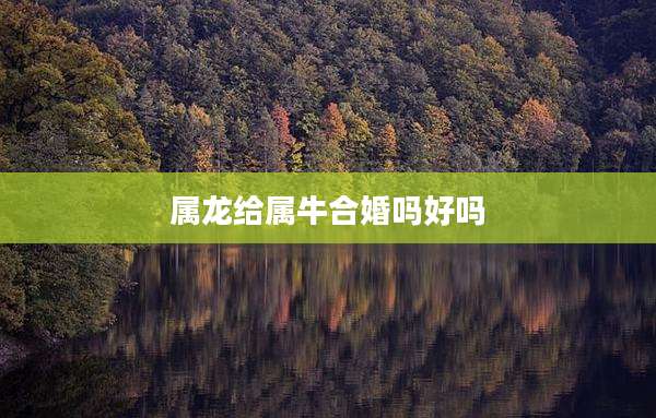 属龙给属牛合婚吗好吗