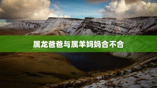 属龙爸爸与属羊妈妈合不合