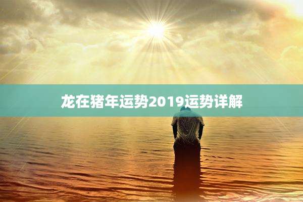 龙在猪年运势2019运势详解