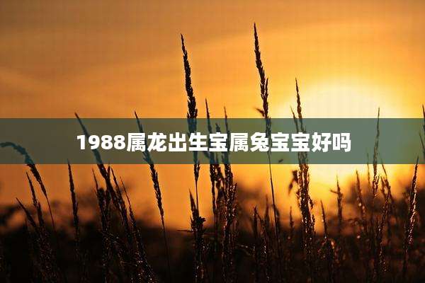 1988属龙出生宝属兔宝宝好吗