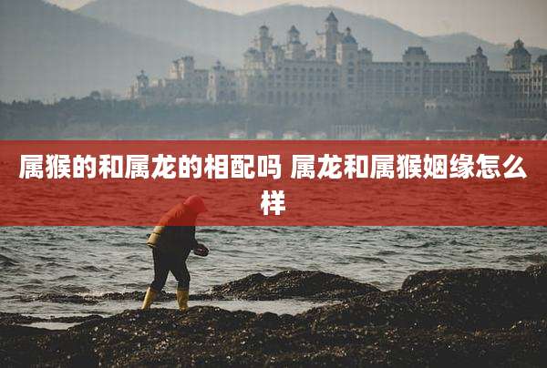 属猴的和属龙的相配吗 属龙和属猴姻缘怎么样