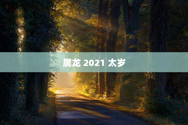 属龙 2021 太岁