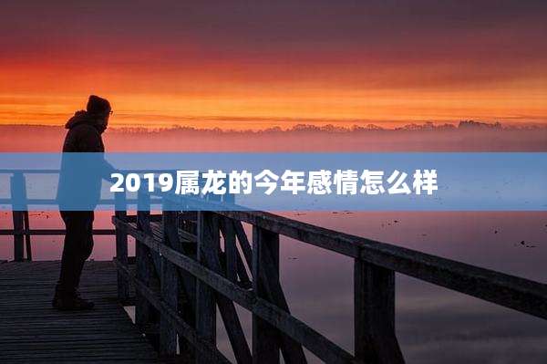 2019属龙的今年感情怎么样