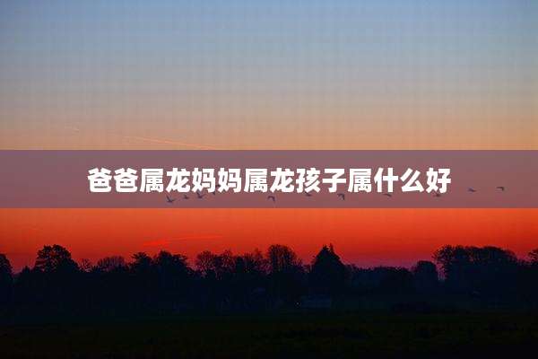 爸爸属龙妈妈属龙孩子属什么好