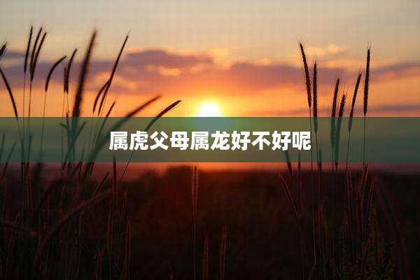 属虎父母属龙好不好呢