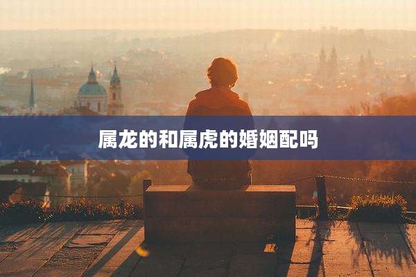 属龙的和属虎的婚姻配吗