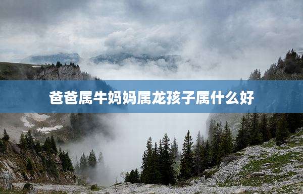 爸爸属牛妈妈属龙孩子属什么好