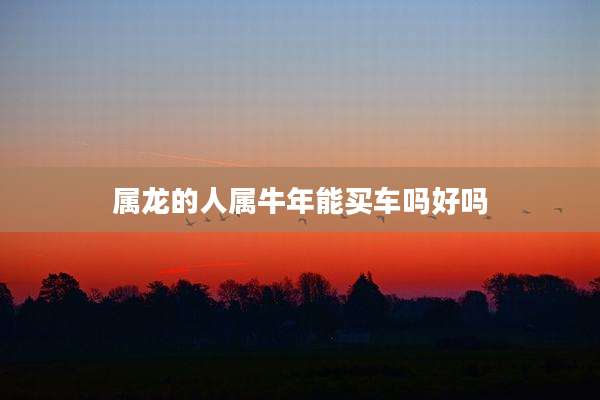 属龙的人属牛年能买车吗好吗