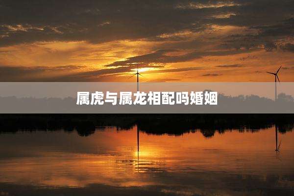 属虎与属龙相配吗婚姻