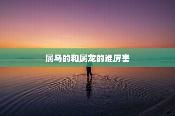 属马的和属龙的谁厉害