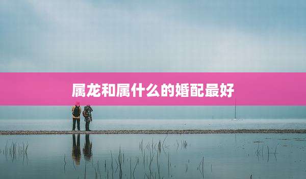 属龙和属什么的婚配最好