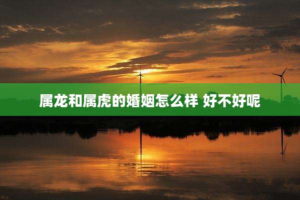 属龙和属虎的婚姻怎么样 好不好呢