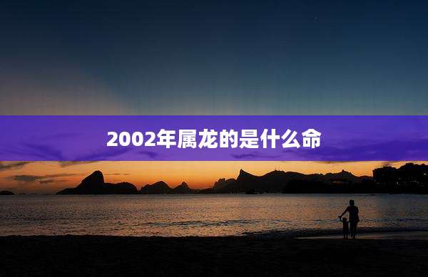 2002年属龙的是什么命