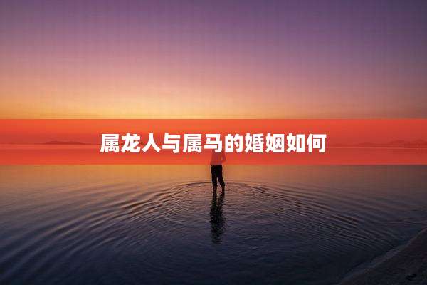 属龙人与属马的婚姻如何