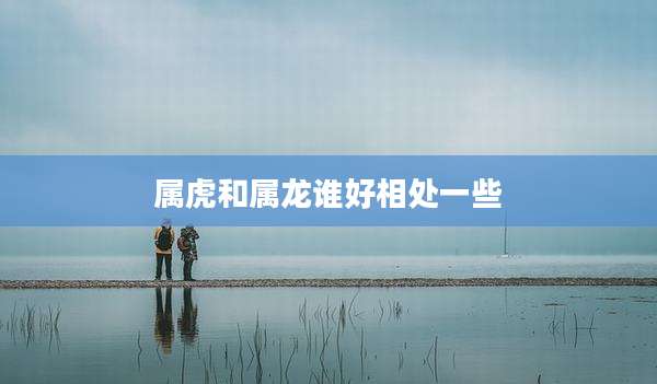 属虎和属龙谁好相处一些
