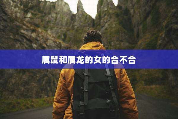 属鼠和属龙的女的合不合