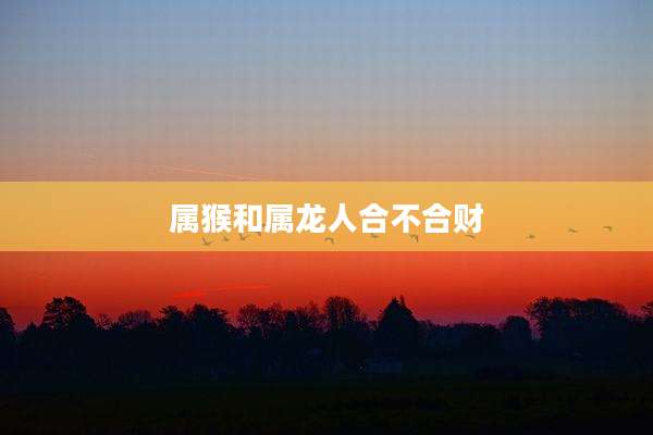 属猴和属龙人合不合财
