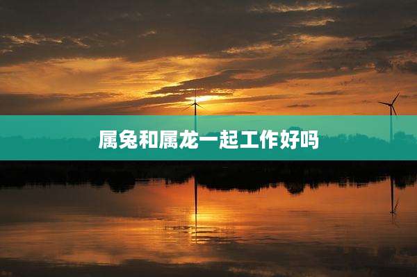 属兔和属龙一起工作好吗