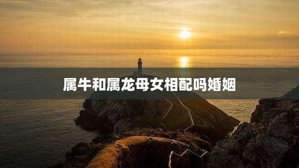 属牛和属龙母女相配吗婚姻