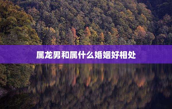 属龙男和属什么婚姻好相处