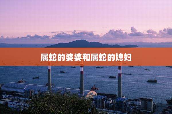 属蛇的婆婆和属蛇的媳妇