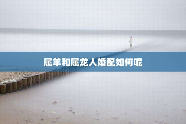 属羊和属龙人婚配如何呢