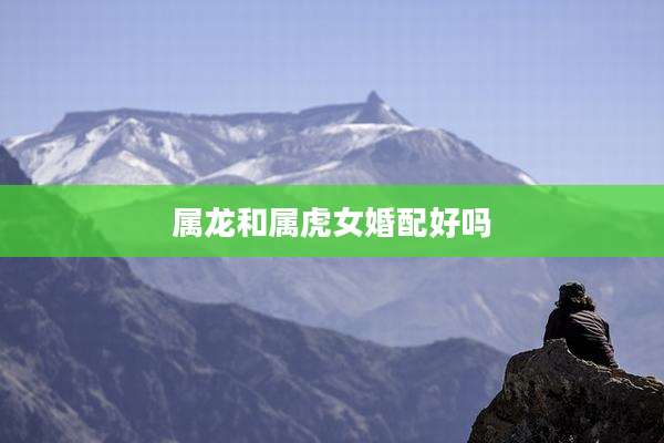属龙和属虎女婚配好吗