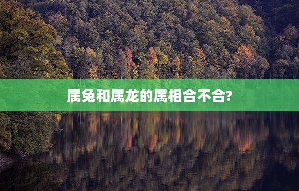属兔和属龙的属相合不合?