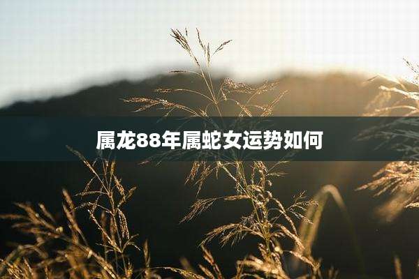 属龙88年属蛇女运势如何
