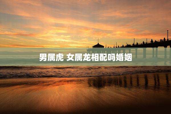 男属虎 女属龙相配吗婚姻