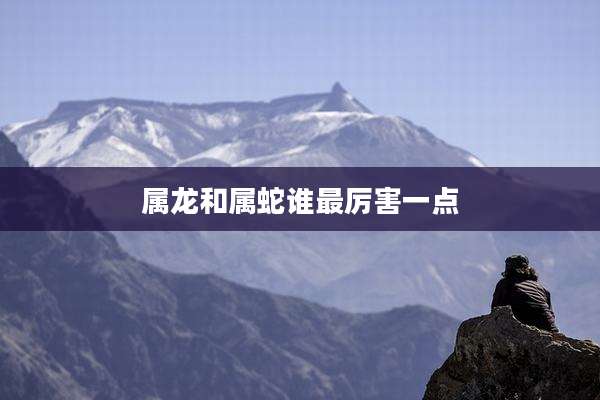 属龙和属蛇谁最厉害一点