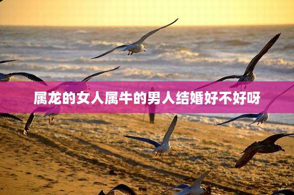 属龙的女人属牛的男人结婚好不好呀