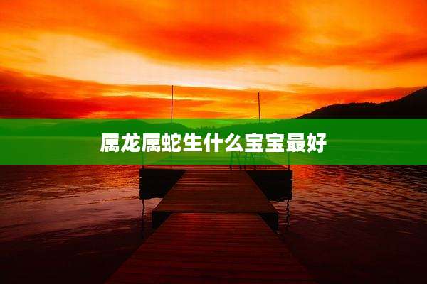 属龙属蛇生什么宝宝最好