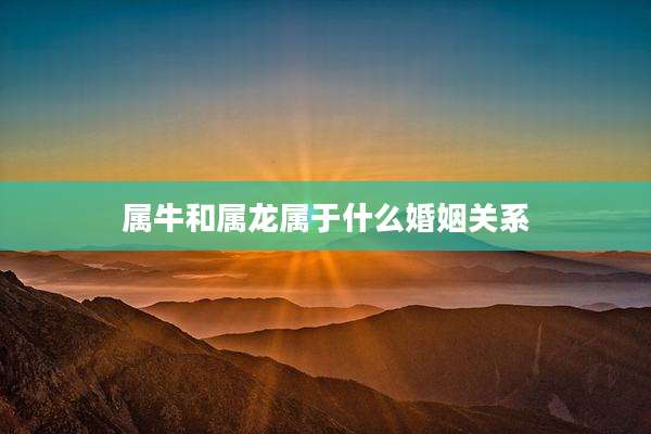 属牛和属龙属于什么婚姻关系