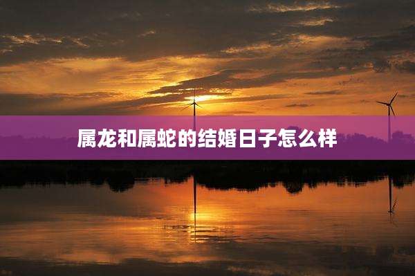 属龙和属蛇的结婚日子怎么样
