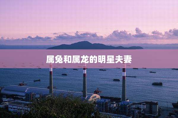 属兔和属龙的明星夫妻