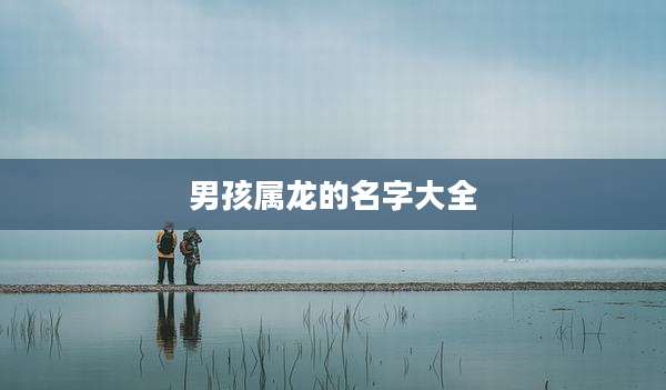 男孩属龙的名字大全