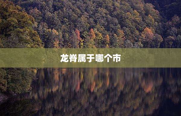 龙脊属于哪个市