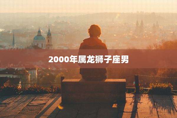 2000年属龙狮子座男