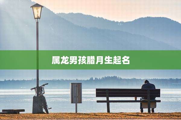 属龙男孩腊月生起名