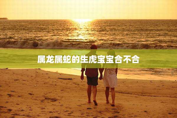 属龙属蛇的生虎宝宝合不合