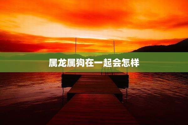 属龙属狗在一起会怎样