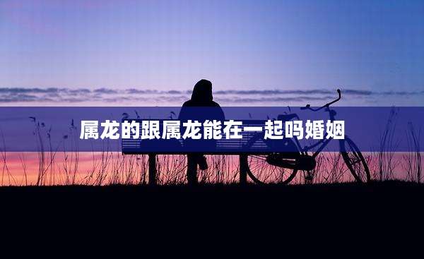 属龙的跟属龙能在一起吗婚姻