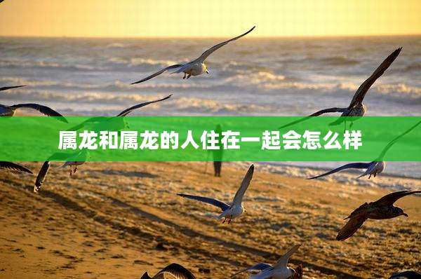 属龙和属龙的人住在一起会怎么样