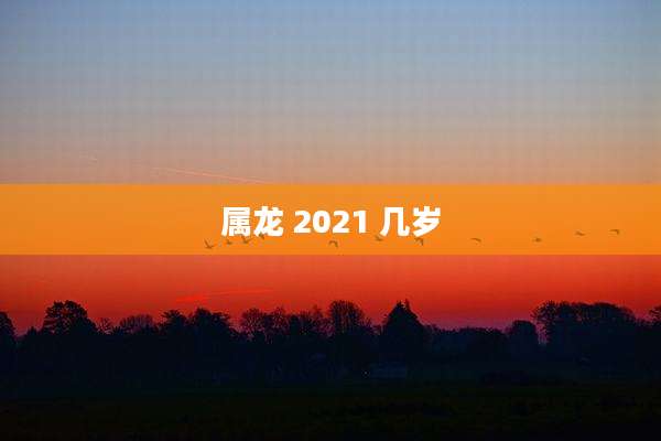 属龙 2021 几岁
