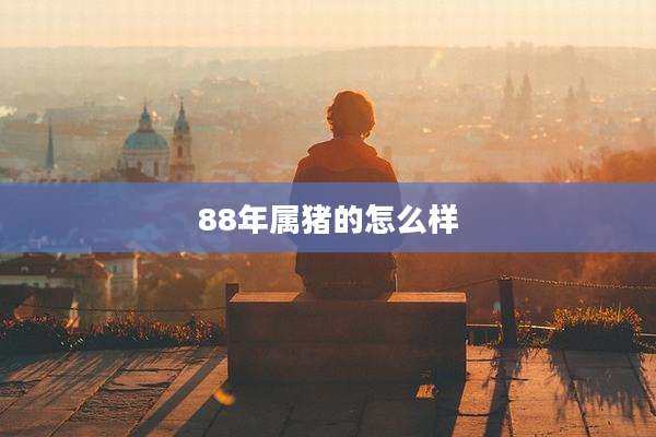 88年属猪的怎么样