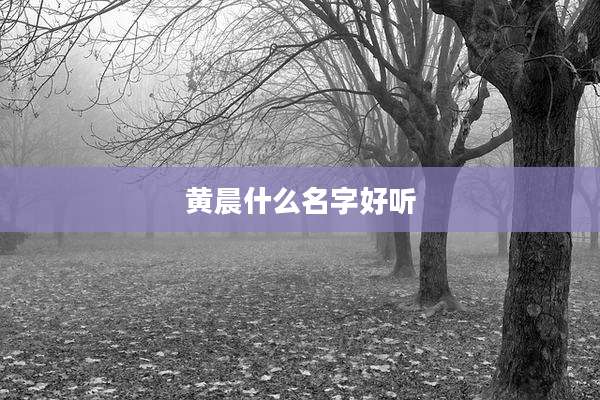 黄晨什么名字好听