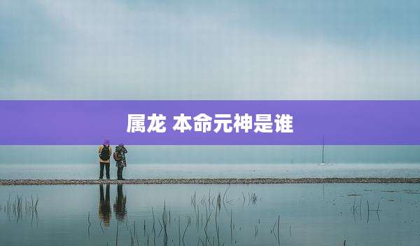 属龙 本命元神是谁