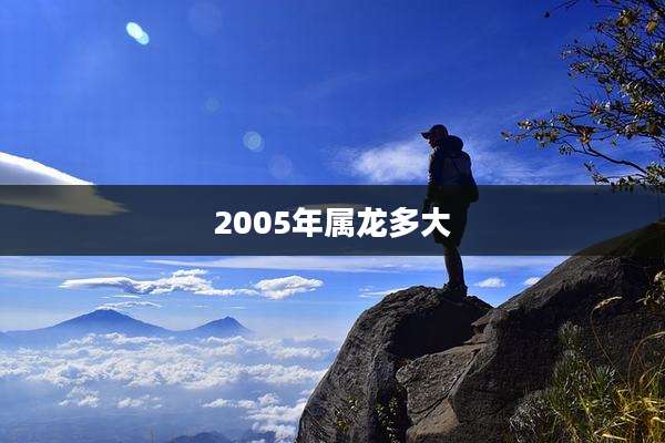2005年属龙多大